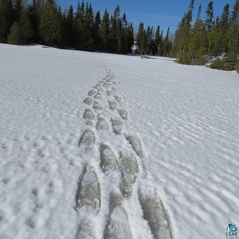 Tiny photo for 261 Caps Tr, Lutsen, MN 55612 (MLS # 6124017)