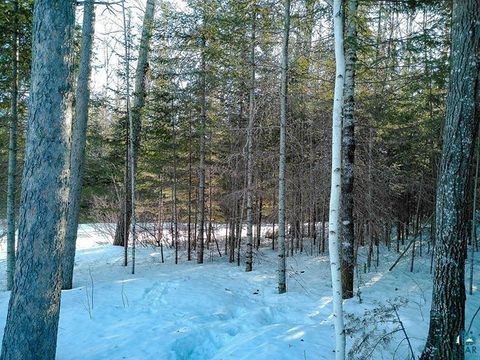 Tiny photo for 261 Caps Tr, Lutsen, MN 55612 (MLS # 6124017)