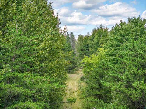 Tiny photo for Tract D Highway 21, Babbitt, MN 55706 (MLS # 6127566)