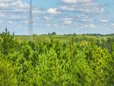 Photo of Tract D Highway 21, Babbitt, MN 55706 (MLS # 6127566)