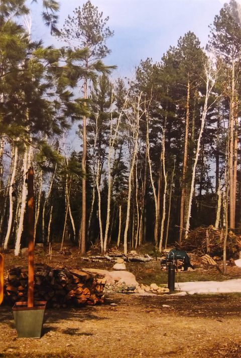 Tiny photo for 1346 Bear Head State Park Rd, Ely, MN 55731 (MLS # 6122929)