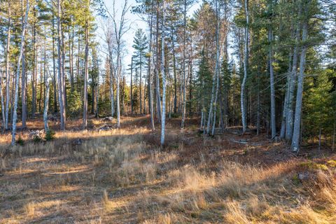 Tiny photo for 1346 Bear Head State Park Rd, Ely, MN 55731 (MLS # 6122929)