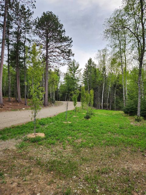 Tiny photo for 1346 Bear Head State Park Rd, Ely, MN 55731 (MLS # 6122929)