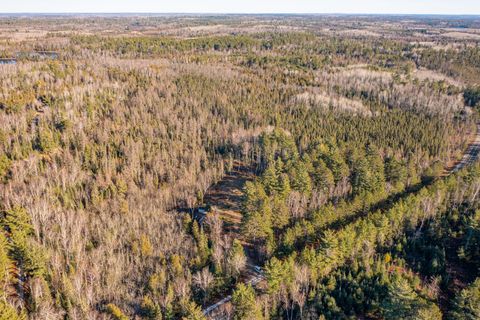 Tiny photo for 1346 Bear Head State Park Rd, Ely, MN 55731 (MLS # 6122929)