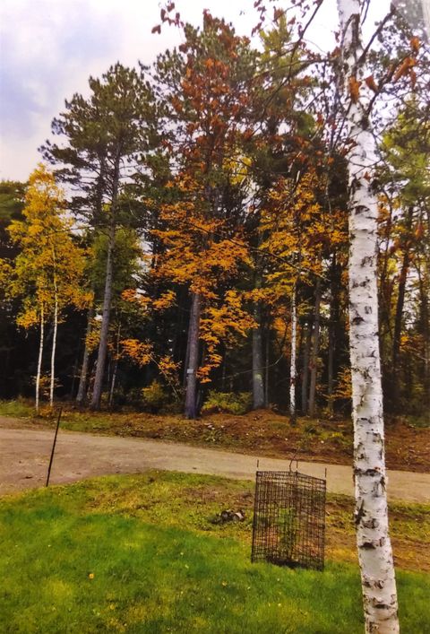 Tiny photo for 1346 Bear Head State Park Rd, Ely, MN 55731 (MLS # 6122929)