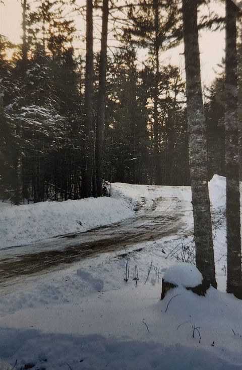 Tiny photo for 1346 Bear Head State Park Rd, Ely, MN 55731 (MLS # 6122929)