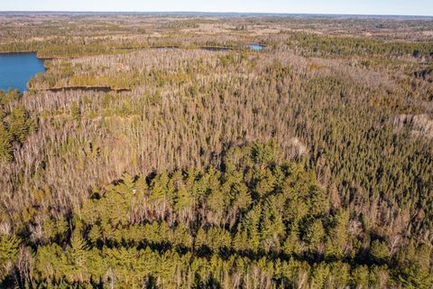 Tiny photo for 1346 Bear Head State Park Rd, Ely, MN 55731 (MLS # 6122929)