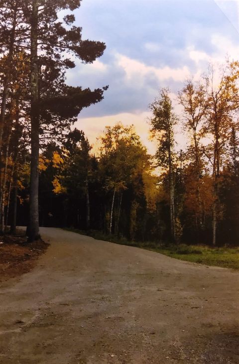 Tiny photo for 1346 Bear Head State Park Rd, Ely, MN 55731 (MLS # 6122929)