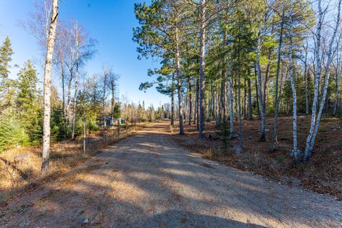 Tiny photo for 1346 Bear Head State Park Rd, Ely, MN 55731 (MLS # 6122929)