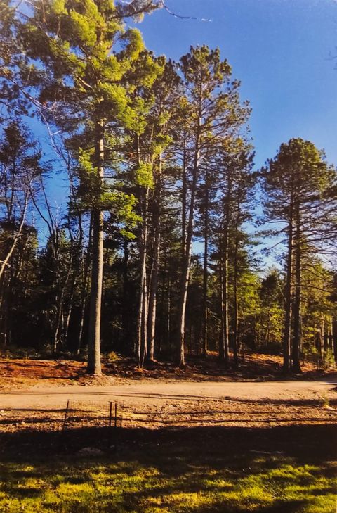 Tiny photo for 1346 Bear Head State Park Rd, Ely, MN 55731 (MLS # 6122929)