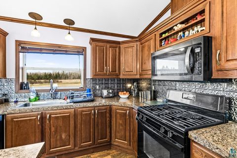 Tiny photo for 3647 County Rd 103, Barnum, MN 55707 (MLS # 6124834)