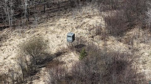 Tiny photo for 43 Lummi Rd, Orr, MN 55771 (MLS # 6125235)
