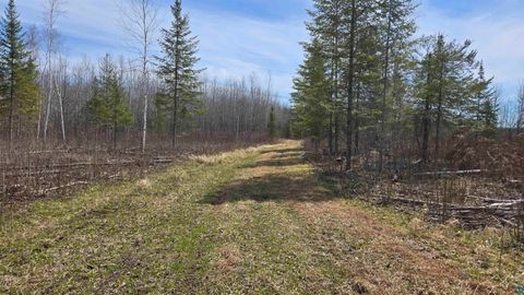 Tiny photo for 43 Lummi Rd, Orr, MN 55771 (MLS # 6125235)