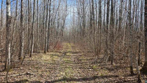 Tiny photo for 43 Lummi Rd, Orr, MN 55771 (MLS # 6125235)