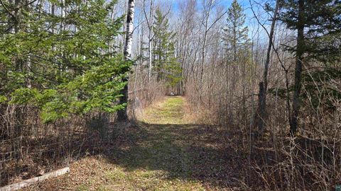 Tiny photo for 43 Lummi Rd, Orr, MN 55771 (MLS # 6125235)