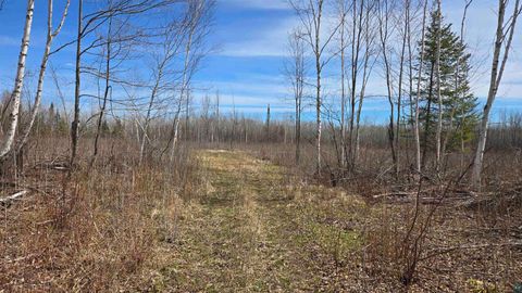 Tiny photo for 43 Lummi Rd, Orr, MN 55771 (MLS # 6125235)