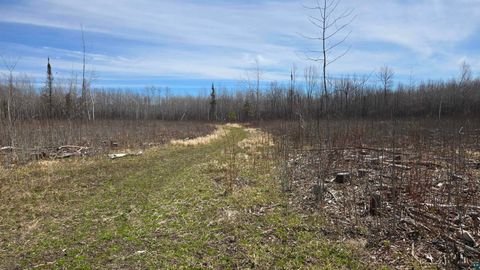 Tiny photo for 43 Lummi Rd, Orr, MN 55771 (MLS # 6125235)