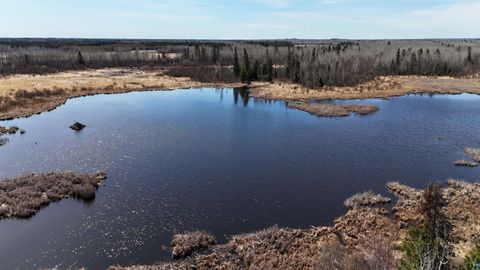 Tiny photo for 43 Lummi Rd, Orr, MN 55771 (MLS # 6125235)