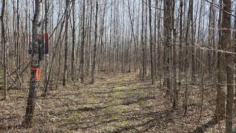 Tiny photo for 43 Lummi Rd, Orr, MN 55771 (MLS # 6125235)