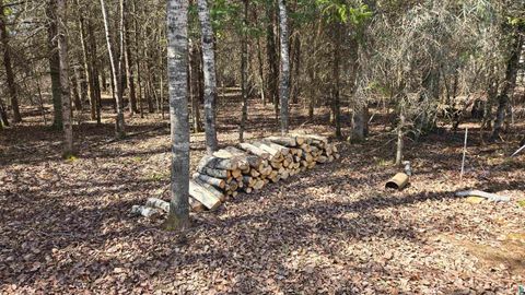 Tiny photo for 43 Lummi Rd, Orr, MN 55771 (MLS # 6125235)