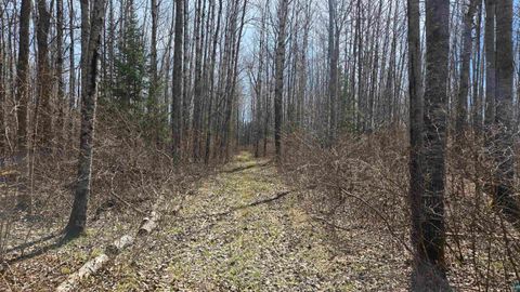 Tiny photo for 43 Lummi Rd, Orr, MN 55771 (MLS # 6125235)