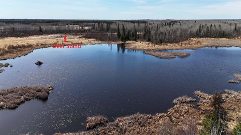 Tiny photo for 43 Lummi Rd, Orr, MN 55771 (MLS # 6125235)
