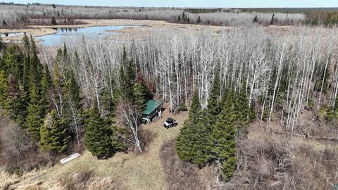 Tiny photo for 43 Lummi Rd, Orr, MN 55771 (MLS # 6125235)