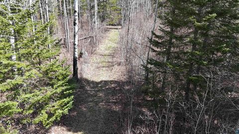 Tiny photo for 43 Lummi Rd, Orr, MN 55771 (MLS # 6125235)