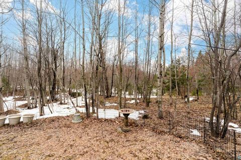 Tiny photo for 1113 Butternut Ave #1113, Duluth, MN 55811 (MLS # 6124544)
