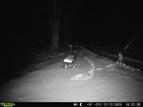 Tiny photo for 4571 Forest Rd 609, Finland, MN 55603 (MLS # 6122608)