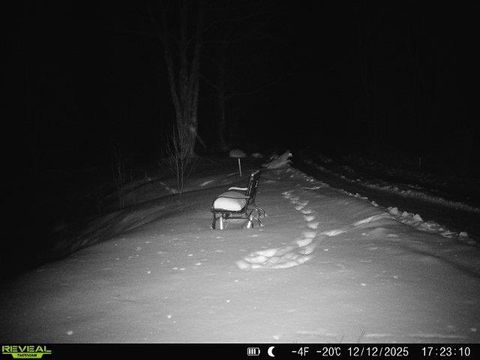 Tiny photo for 4571 Forest Rd 609, Finland, MN 55603 (MLS # 6122608)