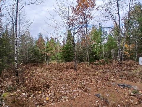 Tiny photo for TBD Echo Tr, Orr, MN 55771 (MLS # 6123186)