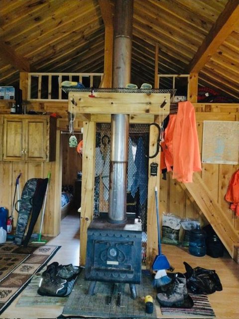 Tiny photo for TBD Echo Tr, Orr, MN 55771 (MLS # 6123186)