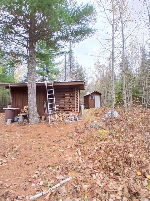 Tiny photo for TBD Echo Tr, Orr, MN 55771 (MLS # 6123186)