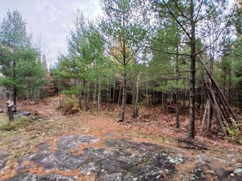 Tiny photo for TBD Echo Tr, Orr, MN 55771 (MLS # 6123186)