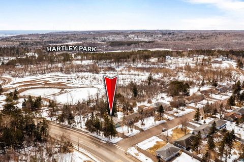 Tiny photo for 2 Northfield St, Duluth, MN 55803 (MLS # 6124188)