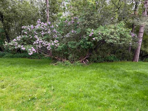 Tiny photo for 6223 Petre St, Duluth, MN 55807 (MLS # 6123296)