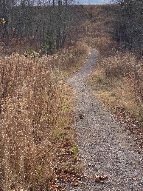 Tiny photo for 6223 Petre St, Duluth, MN 55807 (MLS # 6123296)