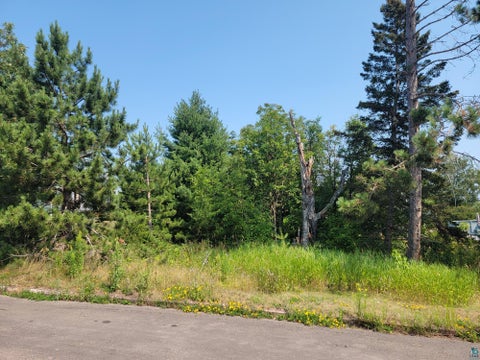 Tiny photo for 2 W 4th Ave, Grand Marais, MN 55604 (MLS # 6127346)