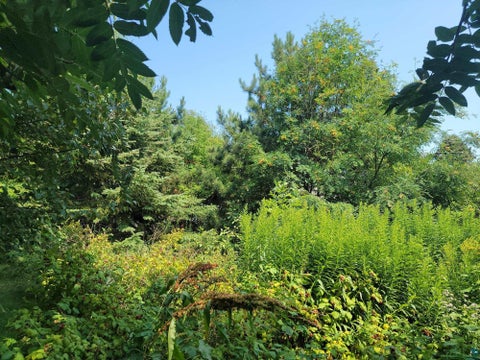 Tiny photo for 2 W 4th Ave, Grand Marais, MN 55604 (MLS # 6127346)