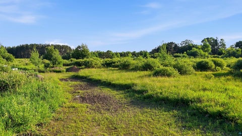 Tiny photo for 4832 Florence Dr, Moose Lake, MN 55767 (MLS # 6126643)