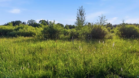 Tiny photo for 4832 Florence Dr, Moose Lake, MN 55767 (MLS # 6126643)