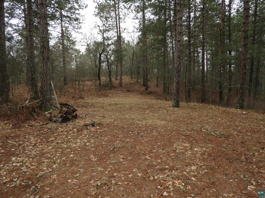 WILDERNESS CT, SOLON SPRINGS, WI 54873 - Image 1b667f2c6bebd8fc1d45b1448ce7fdbe/2815828014