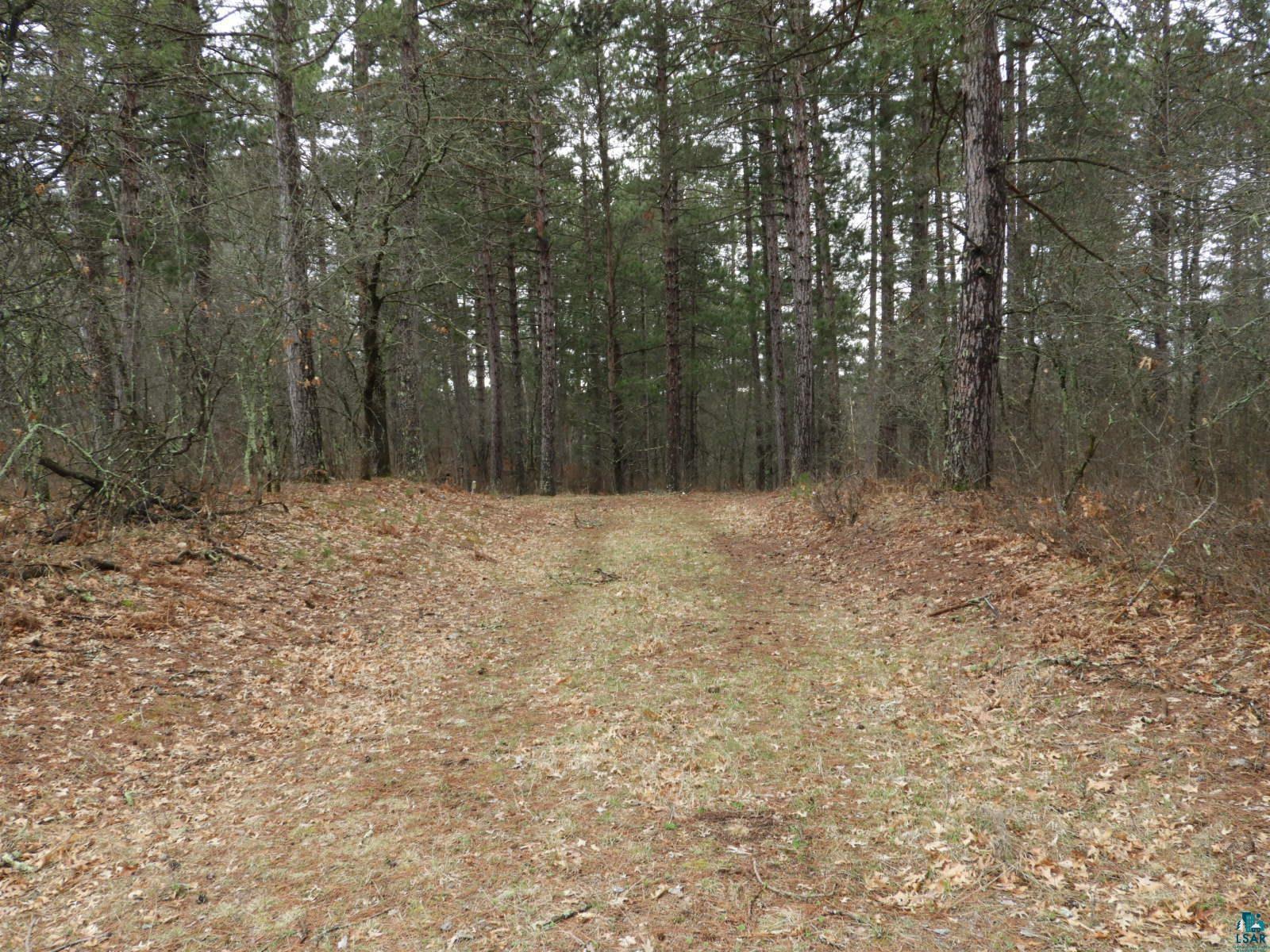 XXXX Wilderness Ct