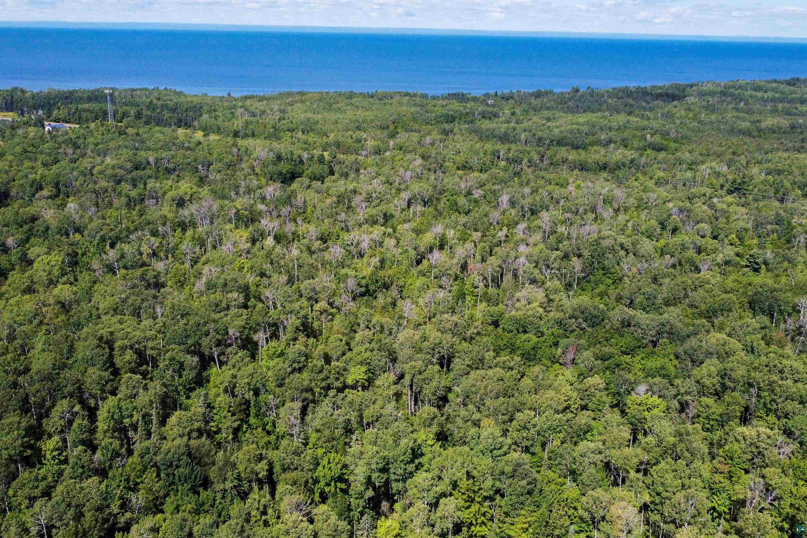 40 Acres Near State Hwy 13