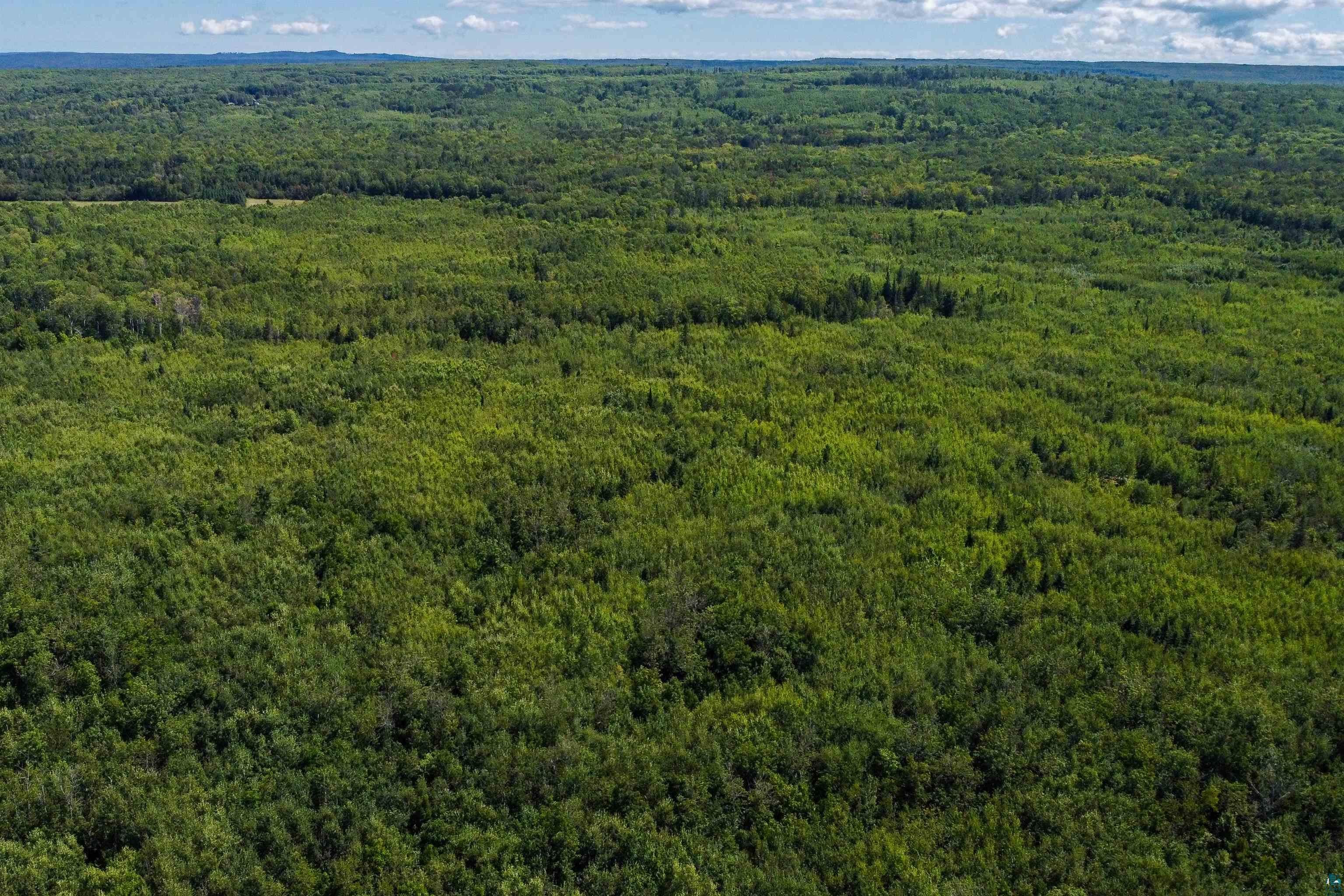 40 Acres Near State Hwy 13