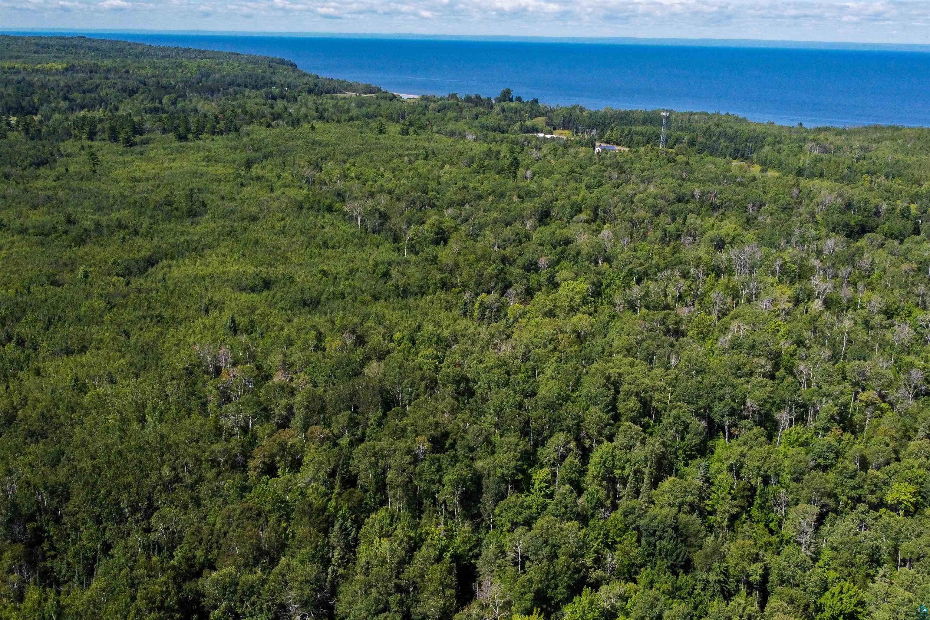 40 Acres Near State Hwy 13