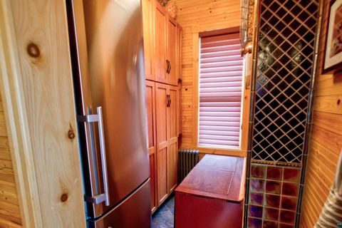 Tiny photo for 24 E Conan St, Ely, MN 55731 (MLS # 6125016)