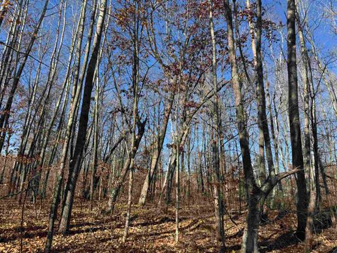 Tiny photo for TBD Grace Lake Rd, Sandstone, MN 55072 (MLS # 6122546)