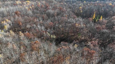 Tiny photo for TBD Grace Lake Rd, Sandstone, MN 55072 (MLS # 6122546)